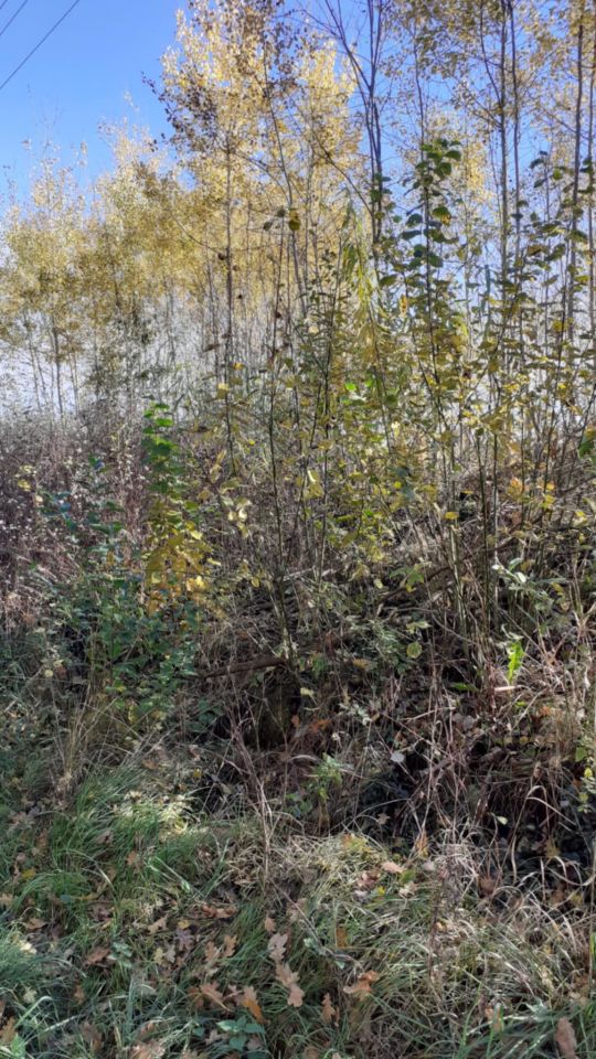 Działka rolno-budowlana Łubowo, ul. Polna. Zdjęcie 5