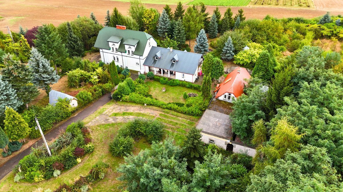 Działka rolna Zochcinek. Zdjęcie 11