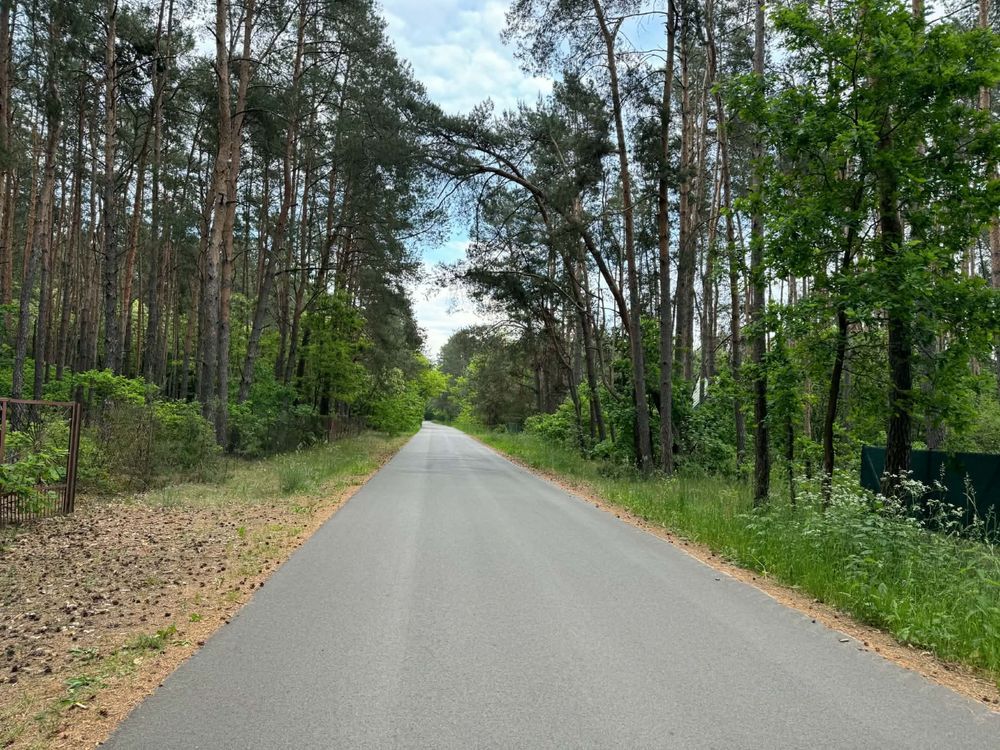 Działka rekreacyjna Mogielnica. Zdjęcie 6