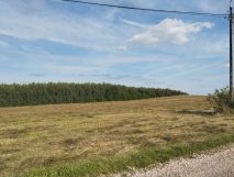 Działka rolno-budowlana Krajno Pierwsze. Zdjęcie 1