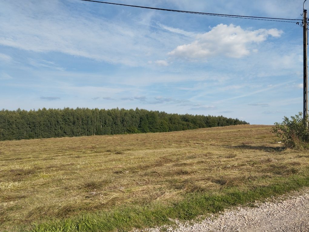Działka rolno-budowlana Krajno Pierwsze. Zdjęcie 2