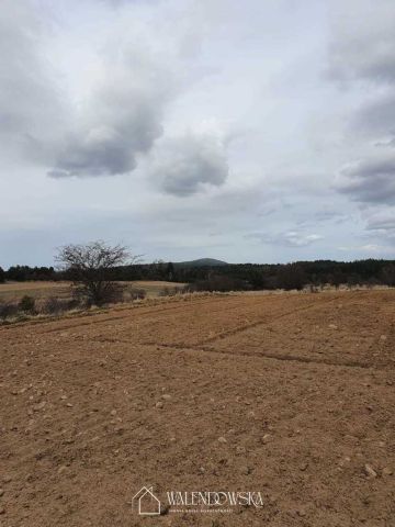 Działka rolna Gardna Wielka. Zdjęcie 4