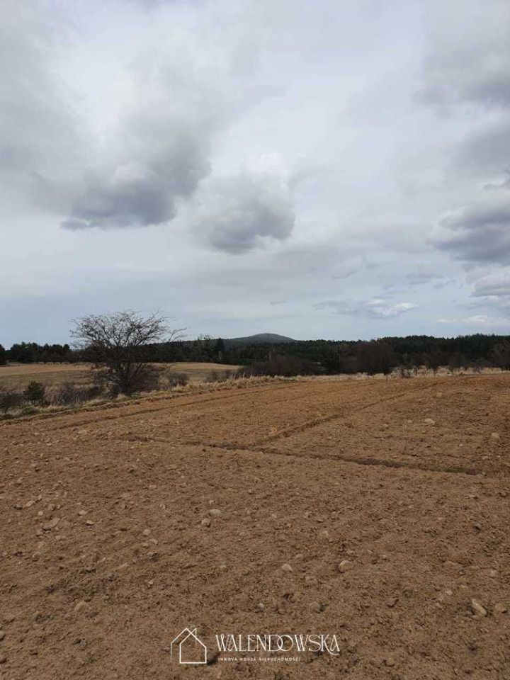 Działka rolna Gardna Wielka. Zdjęcie 4