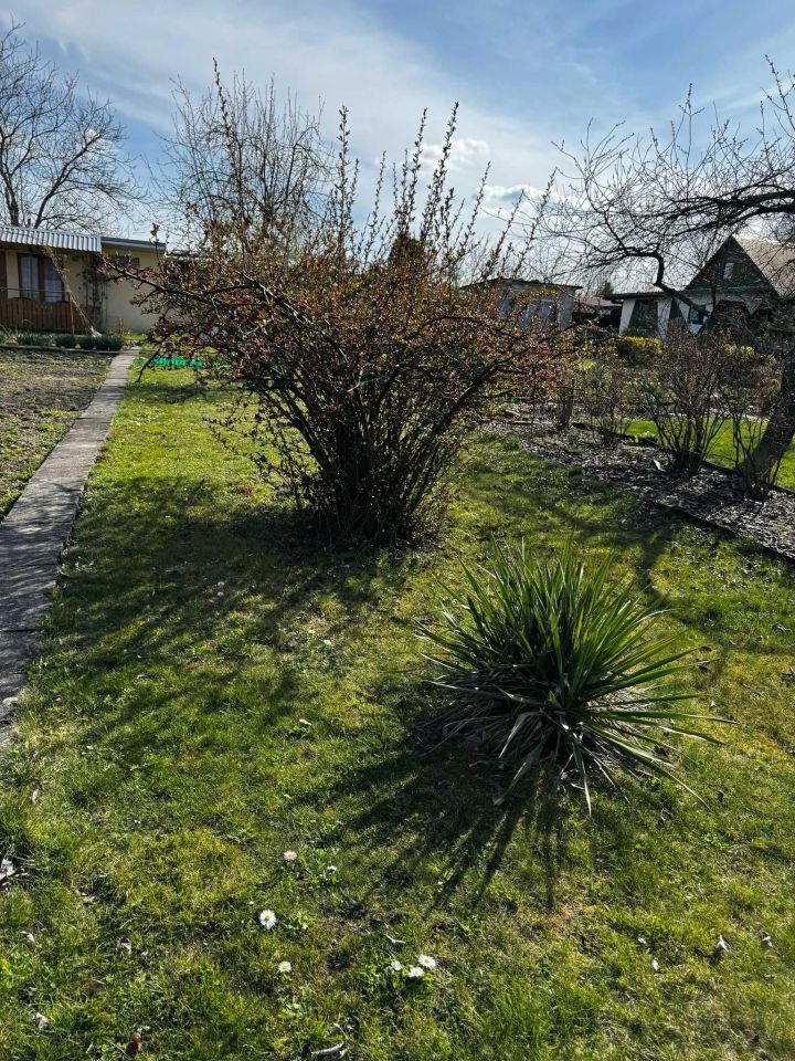 Działka rod Tarnobrzeg. Zdjęcie 4