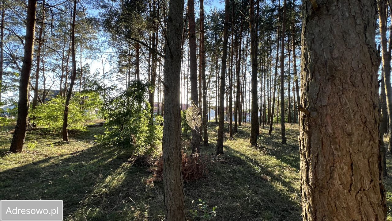 Działka rolno-budowlana Cekcyn Cekcynek. Zdjęcie 4