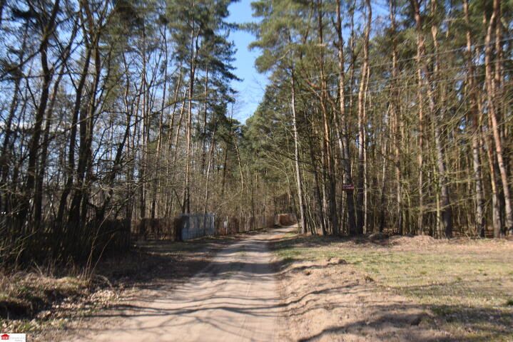 Działka budowlana Michałów, ul. Letniskowa. Zdjęcie 5