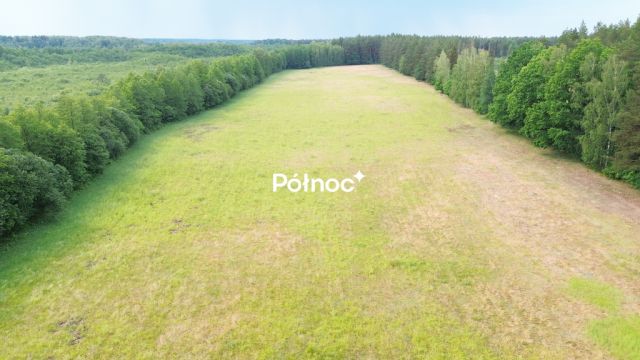 Działka leśna Makosieje. Zdjęcie 7