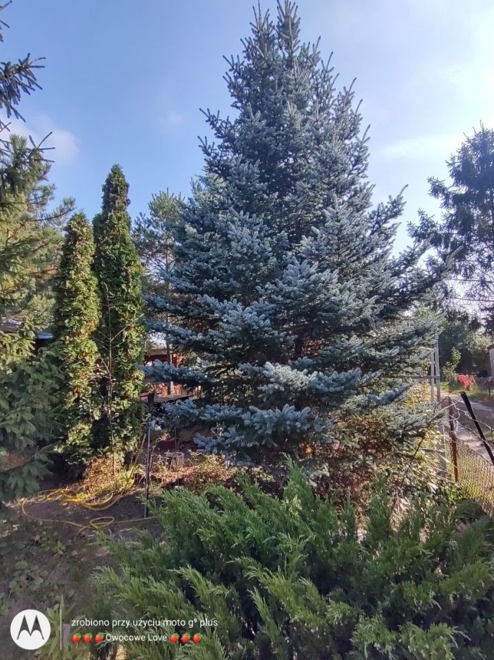 Działka rod Toruń Rudak. Zdjęcie 7