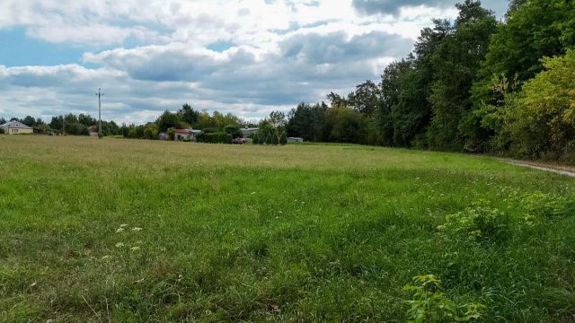 Działka budowlana Psucin, ul. Leśna. Zdjęcie 13