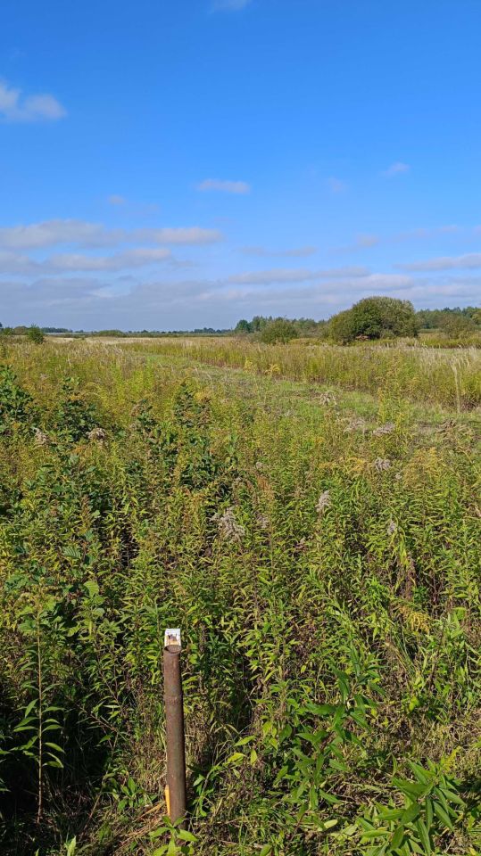 Działka inwestycyjna Rzezawa. Zdjęcie 5