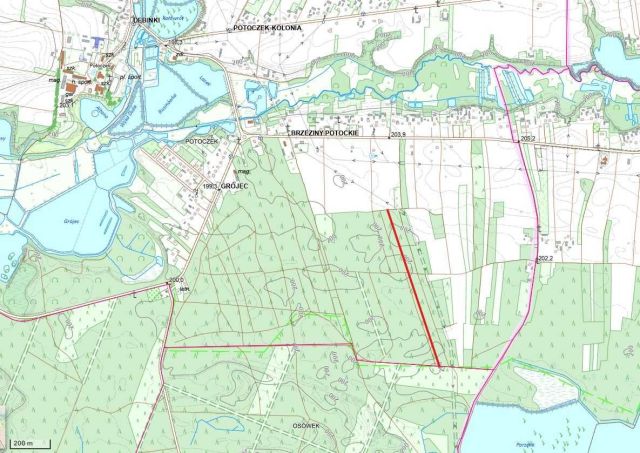 Działka leśna Potoczek. Zdjęcie 1