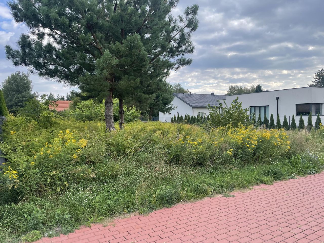 Działka budowlana Serock, ul. Adama Mickiewicza. Zdjęcie 12