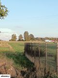 Działka rolno-budowlana Żelków, ul. Różana. Zdjęcie 3