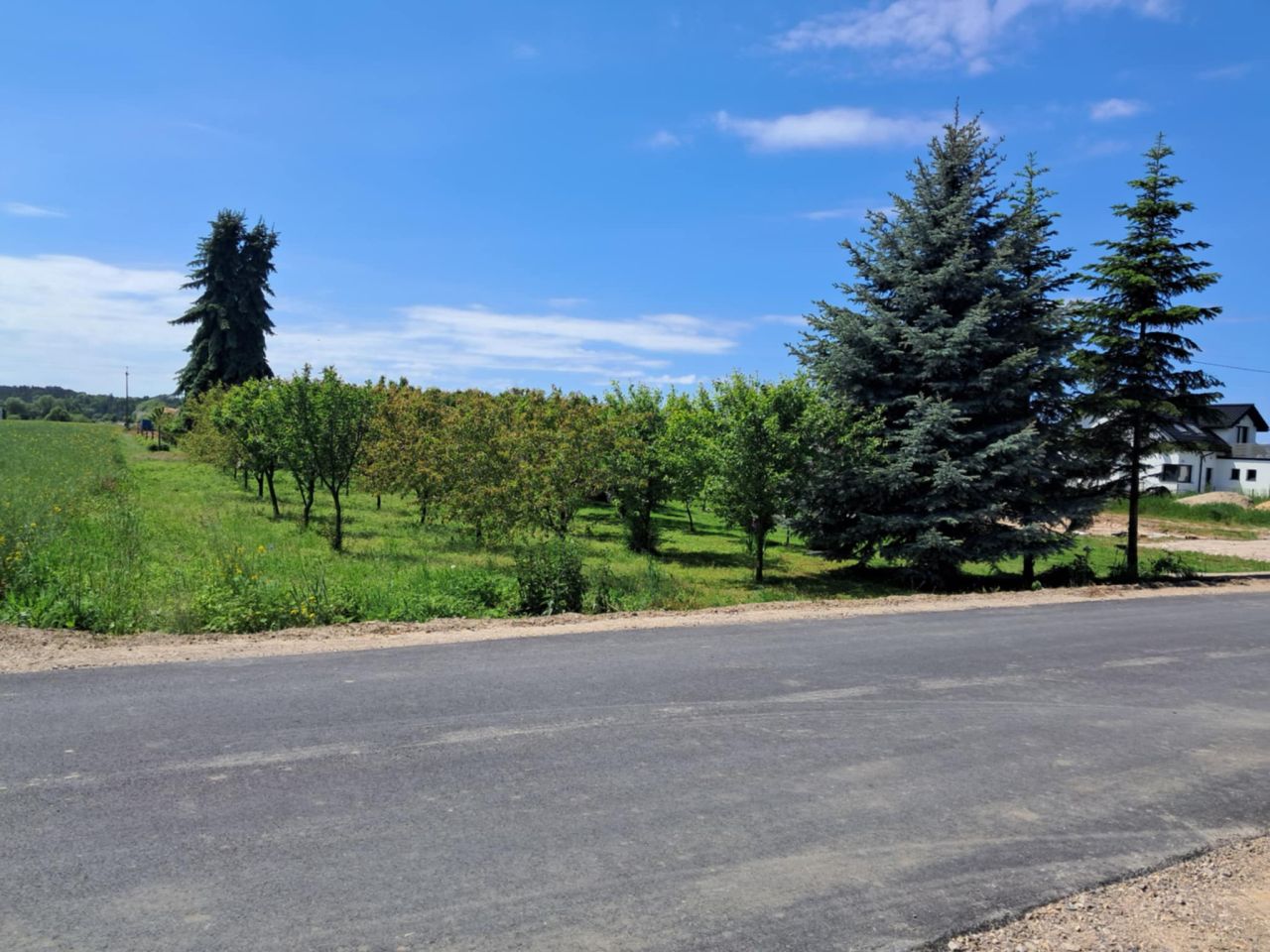 Działka rolno-budowlana Łęka. Zdjęcie 6