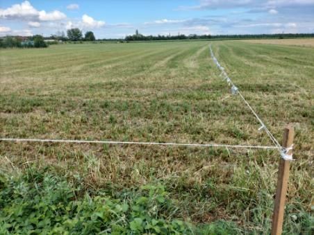 Działka rolno-budowlana Dąbrówka Leśna. Zdjęcie 1