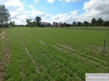 Działka budowlana Ignacew Folwarczny. Zdjęcie 1