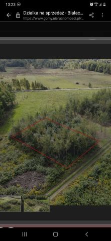 Działka budowlana Zakrzów. Zdjęcie 1