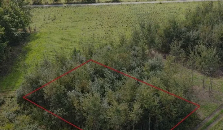 Działka budowlana Zakrzów