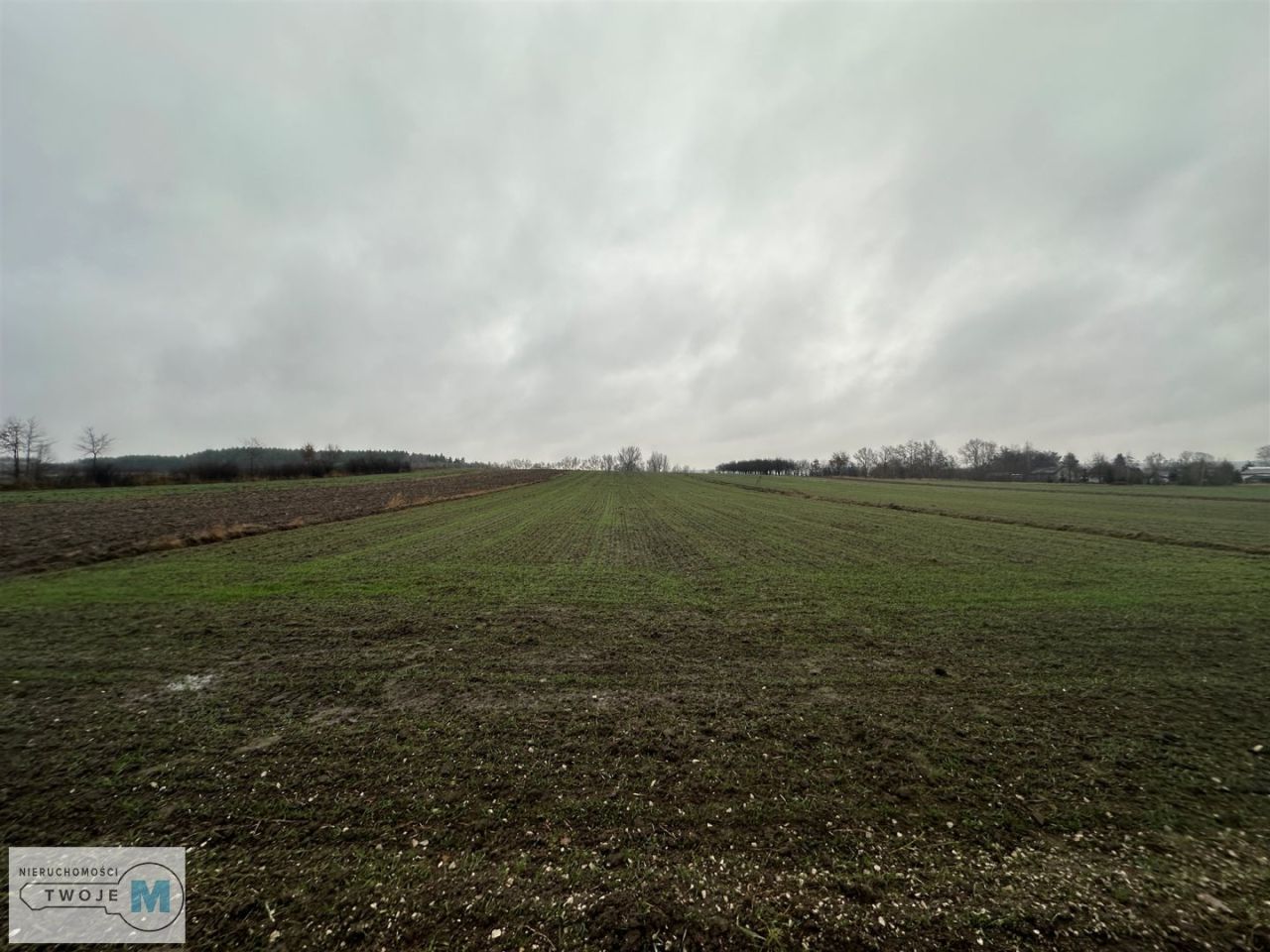 Działka Gnojno. Zdjęcie 5