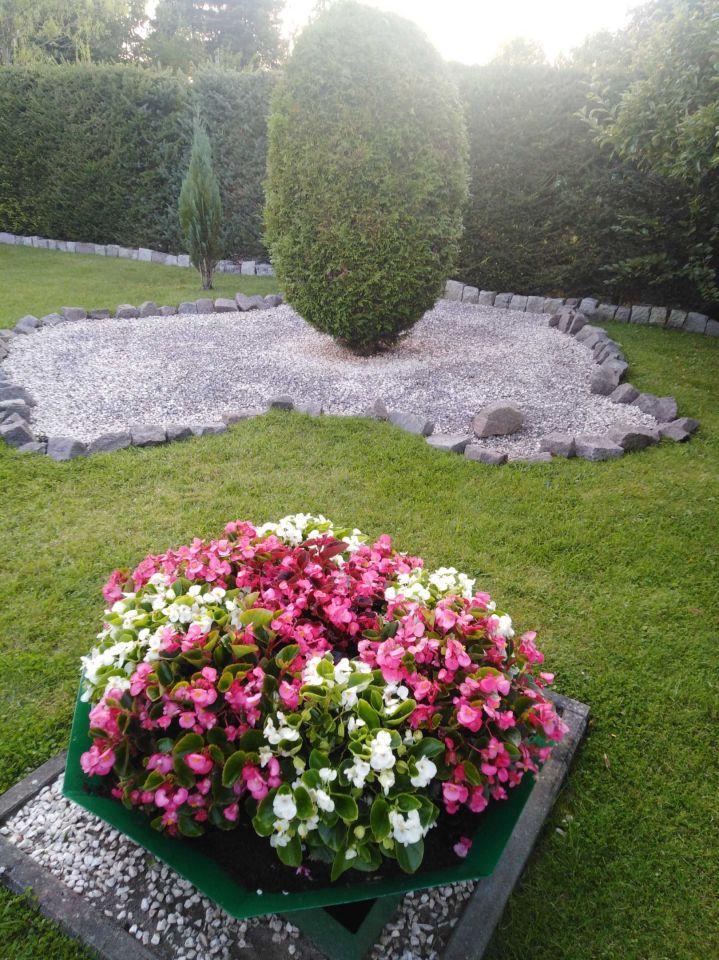 Działka rod Białogard, ul. Chocimska. Zdjęcie 6