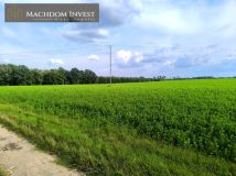 Działka budowlana Niewierz. Zdjęcie 4