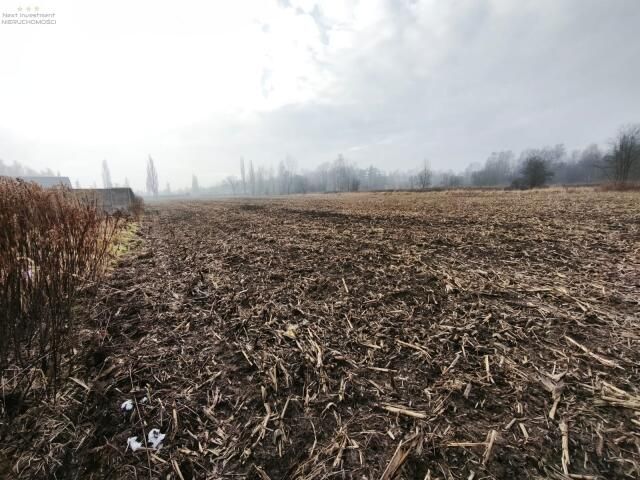 Działka budowlana Pyskowice Dzierżno, ul. Wiejska. Zdjęcie 10