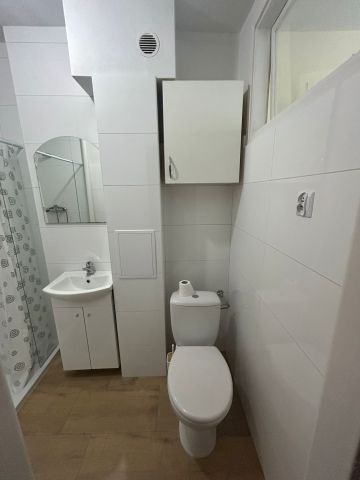 Mieszkanie 1-pokojowe Poznań Ogrody, ul. Bukowska. Zdjęcie 4