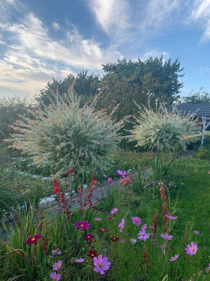 Działka rod Słupsk Centrum, ul. Stefana Banacha. Zdjęcie 8