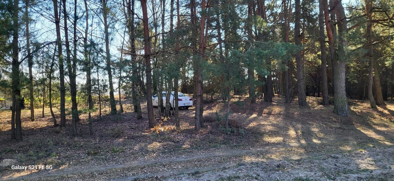 Działka Ulaski. Zdjęcie 1