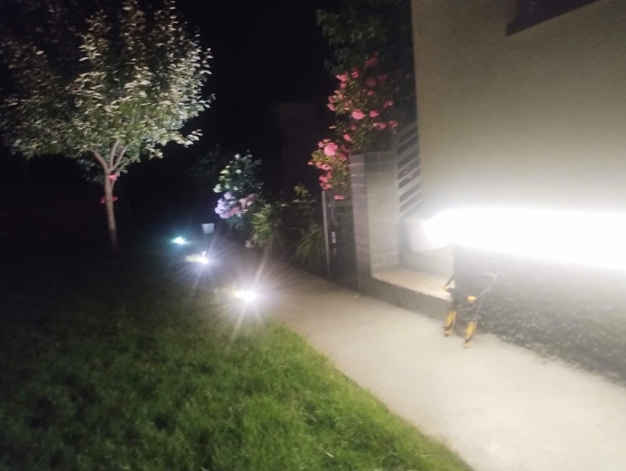 Działka rekreacyjna Bydgoszcz Prądy, ul. Lisia. Zdjęcie 6
