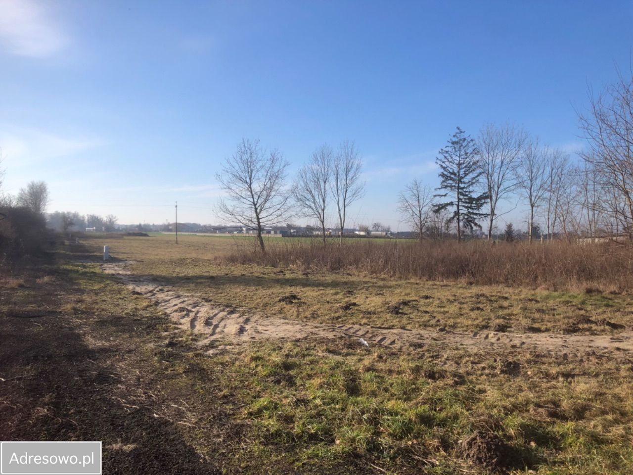 Działka budowlana Młodzieszyn. Zdjęcie 3