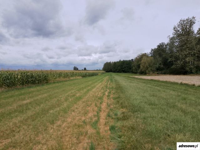 Działka rolna Janki. Zdjęcie 1