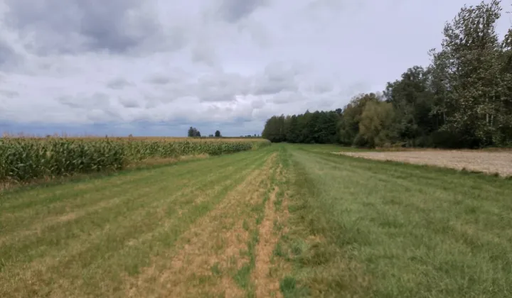 Działka rolna Janki