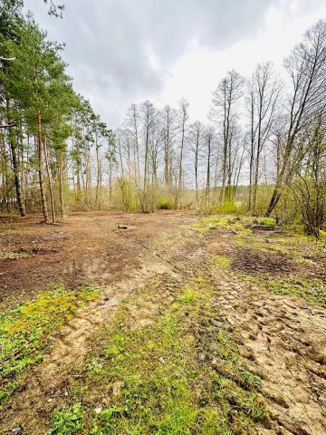 Działka budowlana Borzymy, ul. Klonowa. Zdjęcie 1