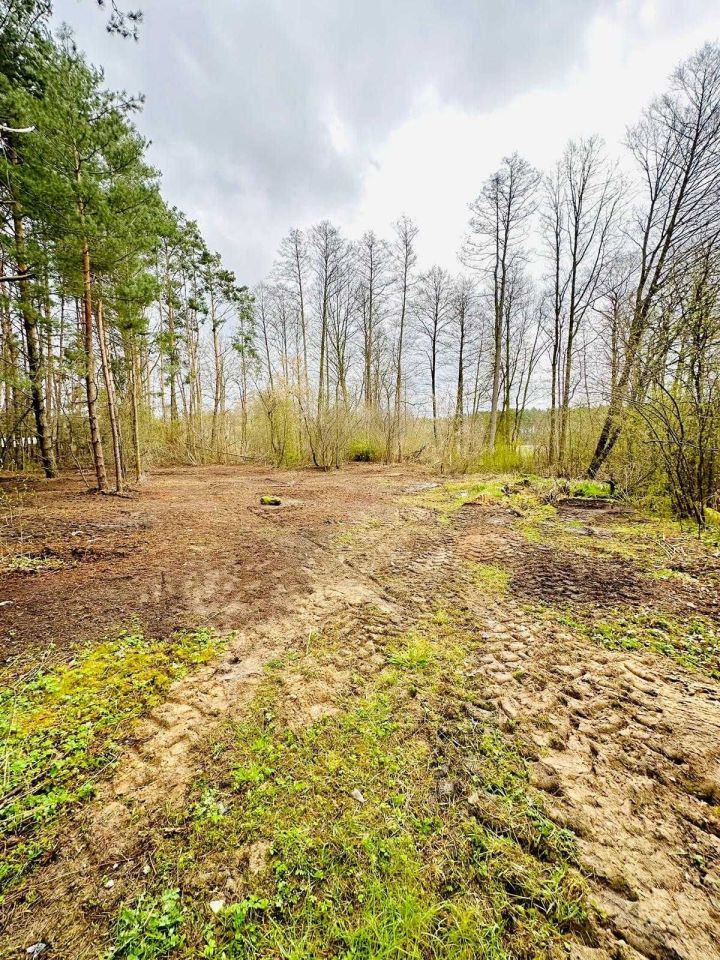 Działka budowlana Borzymy, ul. Klonowa