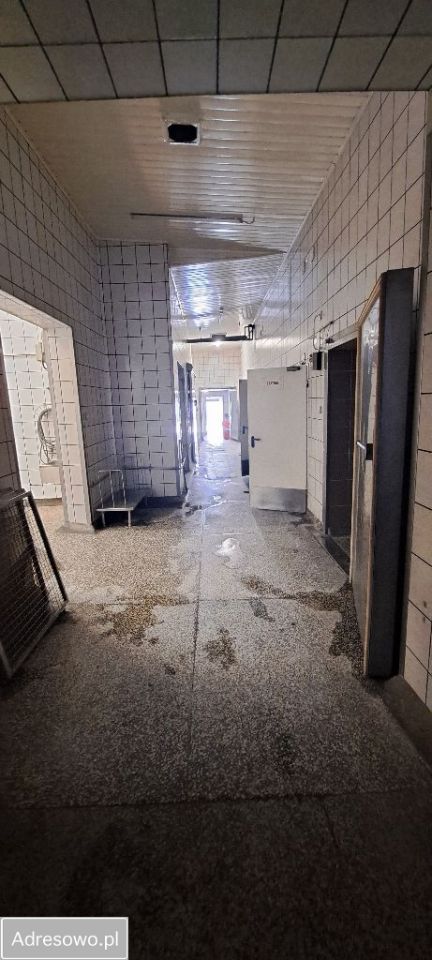 Hala/magazyn Koło, ul. Boguszyniecka. Zdjęcie 9
