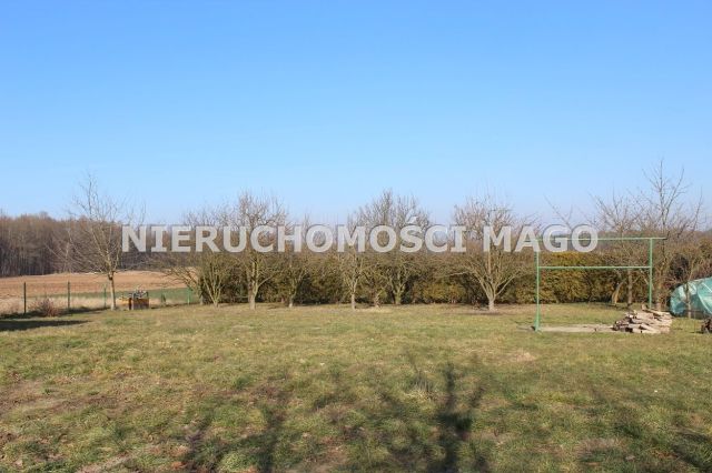 dom wolnostojący, 5 pokoi Kochanowice. Zdjęcie 9