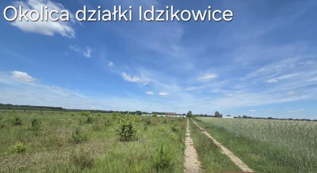 Działka rolna Idzikowice. Zdjęcie 5