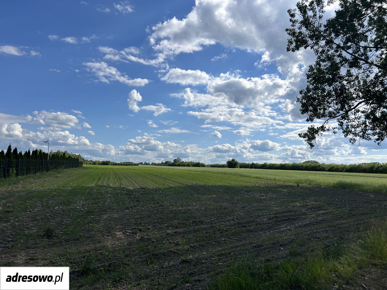 Działka budowlana Janików. Zdjęcie 2