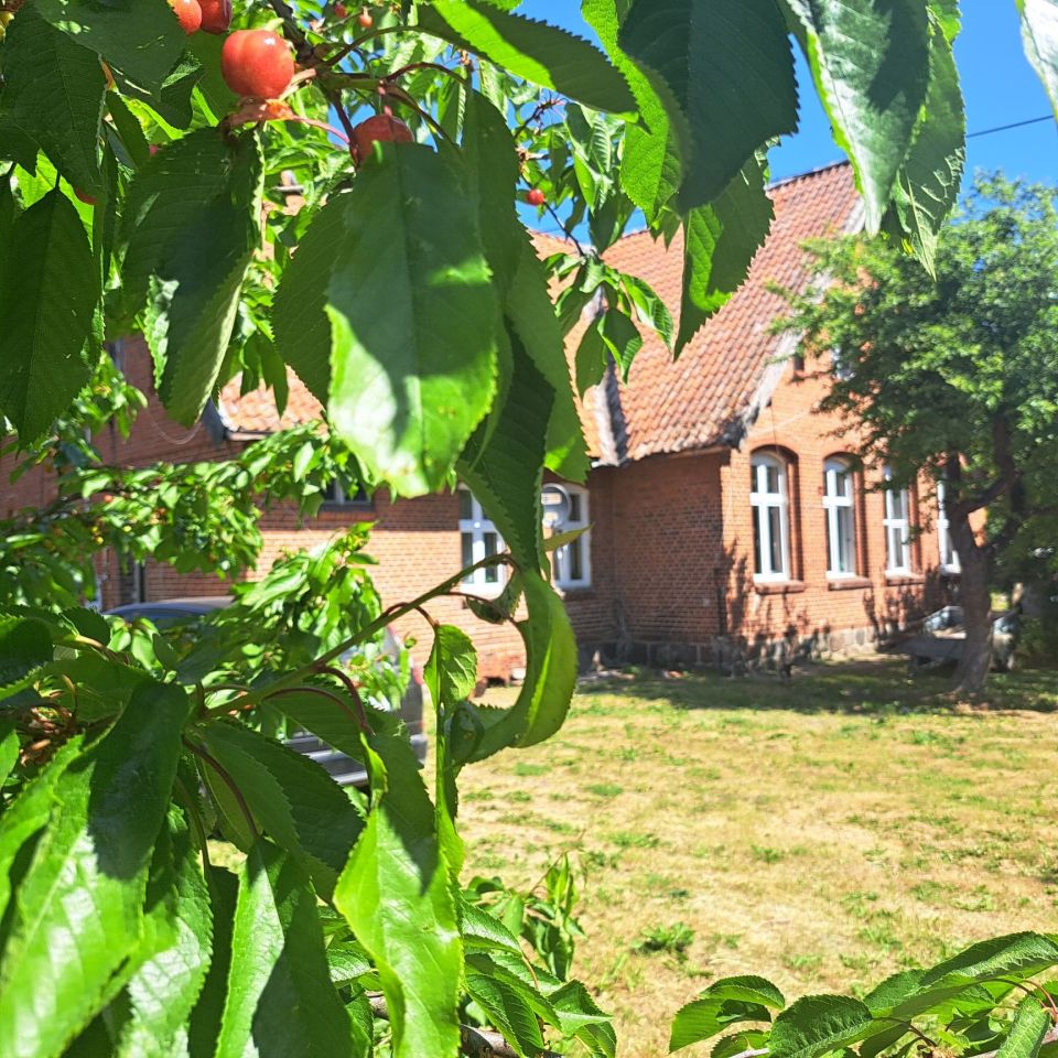 dom wolnostojący Klutajny. Zdjęcie 2