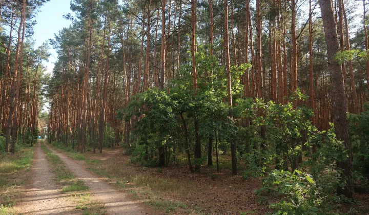 Działka budowlana Sulejówek Żurawka, ul. Jana III Sobieskiego