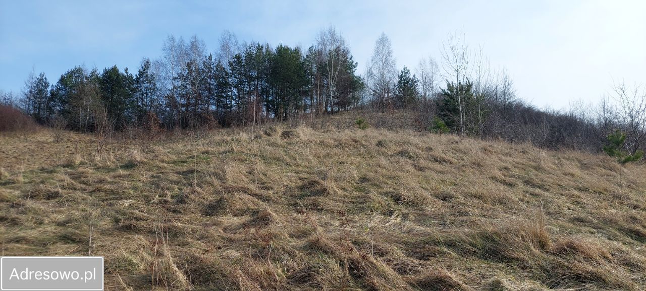 Działka rekreacyjna Brodnica Dolna, ul. Jastrzębia. Zdjęcie 17