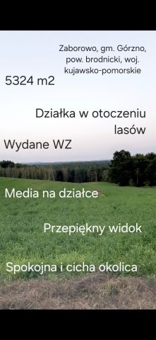 Działka rolno-budowlana Zaborowo. Zdjęcie 1