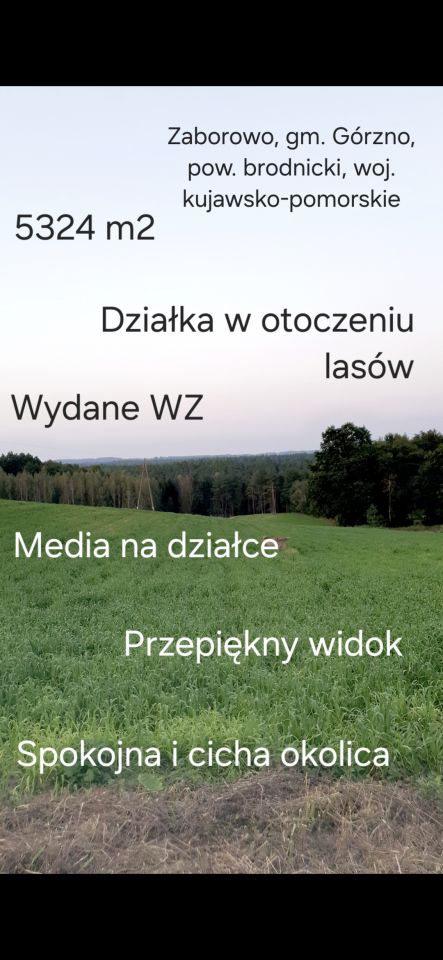 Działka rolno-budowlana Zaborowo