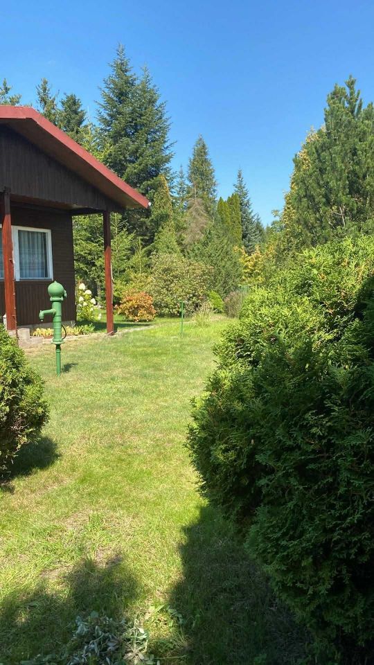 Działka rod Szczaki. Zdjęcie 5