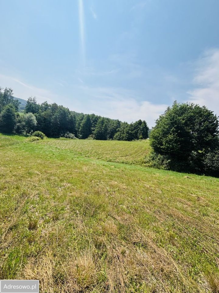 Działka siedliskowa Lipnica Dolna. Zdjęcie 3