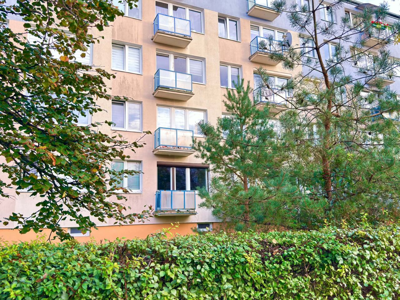 Mieszkanie 2-pokojowe Toruń Bydgoskie Przedmieście, ul. Mikołaja Reja. Zdjęcie 3