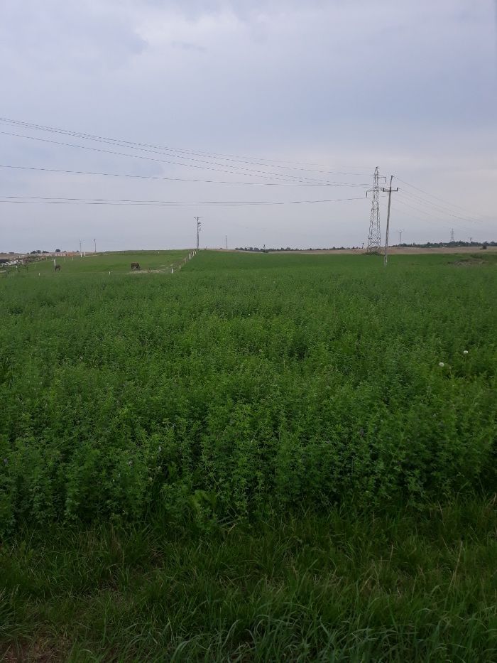 Działka budowlana Gniezno, ul. Okopowa. Zdjęcie 2