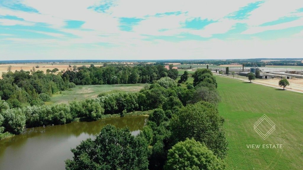 Lokal Legnica, al. Aleja Platanowa. Zdjęcie 5