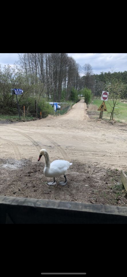 Działka rekreacyjna Karwica. Zdjęcie 2